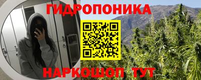 гашик Рыбинск