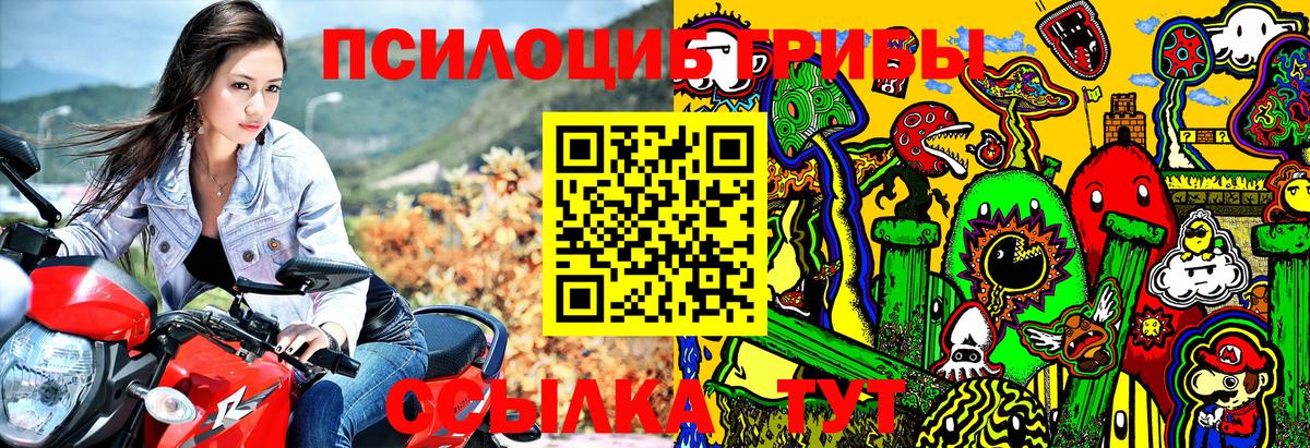 Борзя  купить наркотики цена  Вход с VPN  Галлюциногенные грибы прущие грибы 